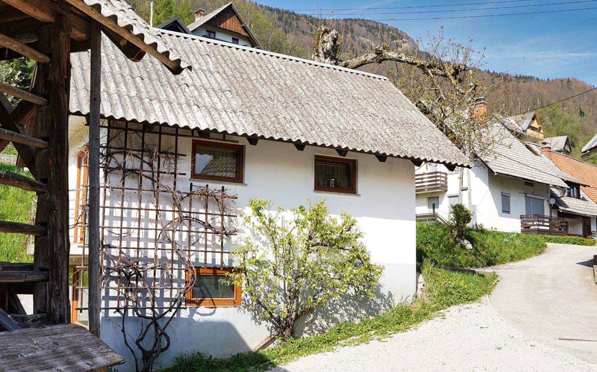 Apartments Pr' Pavleto Bohinj Zewnętrze zdjęcie